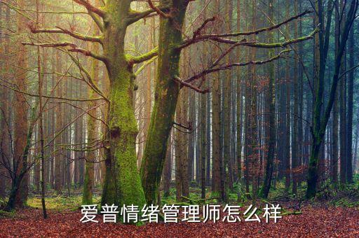 綿陽(yáng)愛(ài)普投資咨詢有限公司,東電化愛(ài)普科斯(上海)投資有限公司