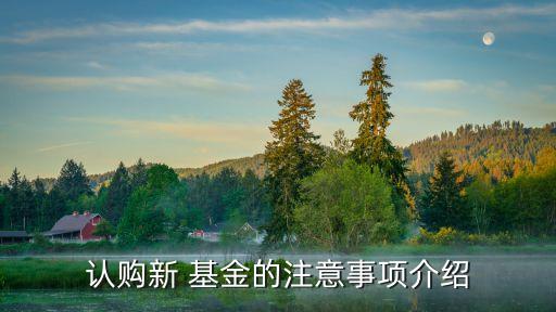 認購新 基金的注意事項介紹