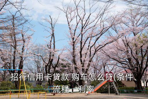 招行信用卡貸款 購車怎么貸(條件、流程、利率