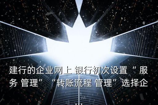 建行的企業(yè)網(wǎng)上 銀行初次設置“ 服務 管理”“轉賬流程 管理”選擇企...