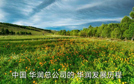中國 華潤(rùn)總公司的 華潤(rùn)發(fā)展歷程