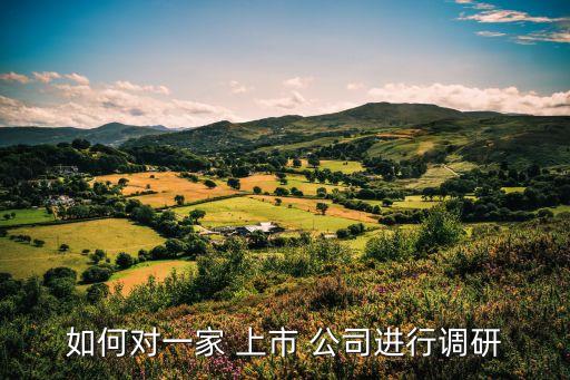 如何對一家 上市 公司進行調研