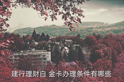 建行理財白 金卡辦理?xiàng)l件有哪些