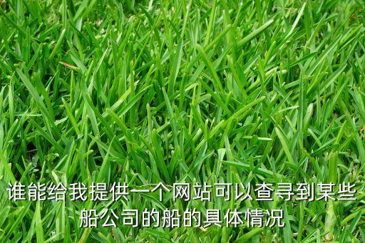 誰能給我提供一個網站可以查尋到某些船公司的船的具體情況