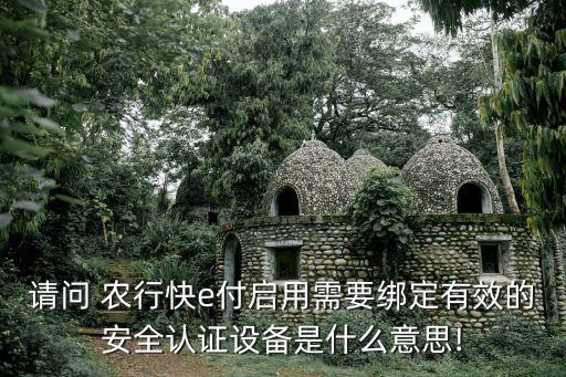 請問 農行快e付啟用需要綁定有效的安全認證設備是什么意思!