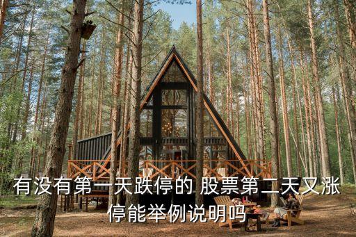 有沒(méi)有第一天跌停的 股票第二天又漲停能舉例說(shuō)明嗎