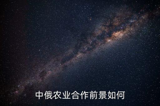 中俄農業(yè)合作前景如何