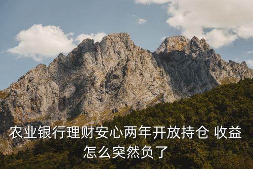 農業(yè)銀行理財安心兩年開放持倉 收益怎么突然負了