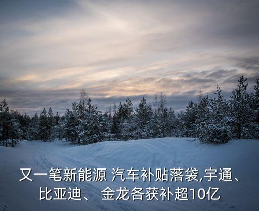 廈門(mén)金龍汽車(chē)集團(tuán)股份