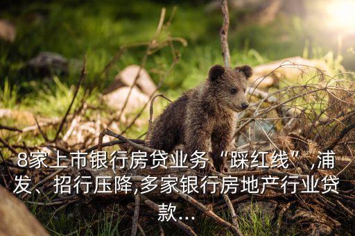 8家上市銀行房貸業(yè)務(wù)“踩紅線”,浦發(fā)、招行壓降,多家銀行房地產(chǎn)行業(yè)貸款...
