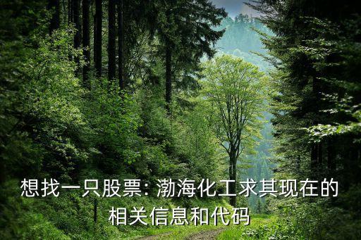 想找一只股票: 渤?；で笃洮F(xiàn)在的相關(guān)信息和代碼