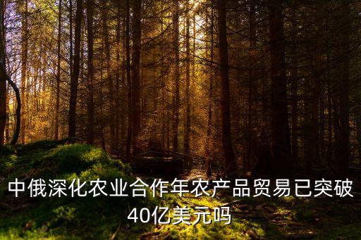 中俄深化農業(yè)合作年農產品貿易已突破40億美元嗎