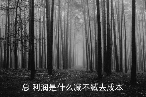總 利潤(rùn)是什么減不減去成本