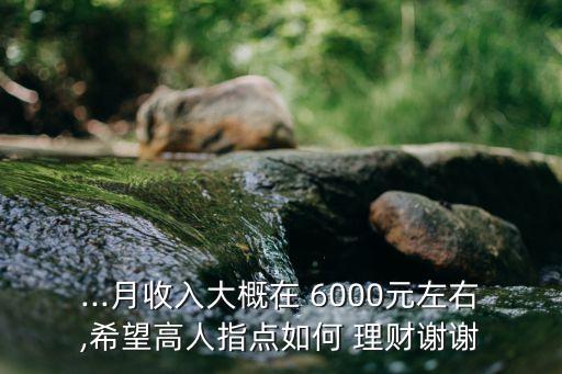...月收入大概在 6000元左右,希望高人指點(diǎn)如何 理財謝謝