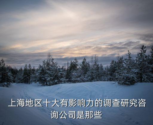  上海地區(qū)十大有影響力的調(diào)查研究咨詢(xún)公司是那些