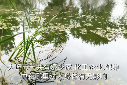 大連市一共有多少家 化工企業(yè),都集中在哪里對(duì)人身體有無影響