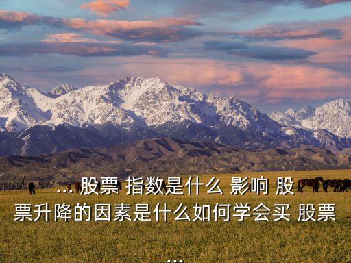 ... 股票 指數(shù)是什么 影響 股票升降的因素是什么如何學會買 股票...