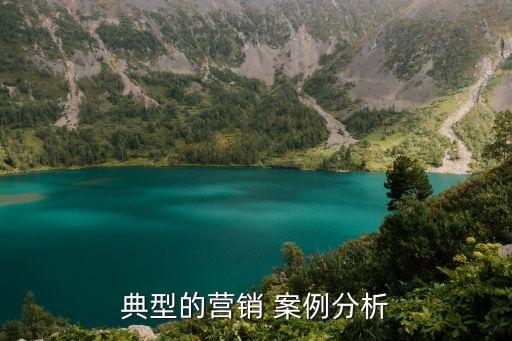 典型的營銷 案例分析