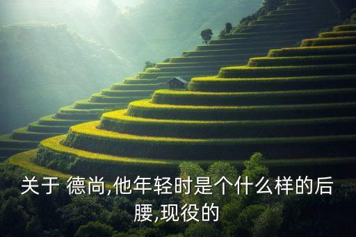 關于 德尚,他年輕時是個什么樣的后腰,現(xiàn)役的