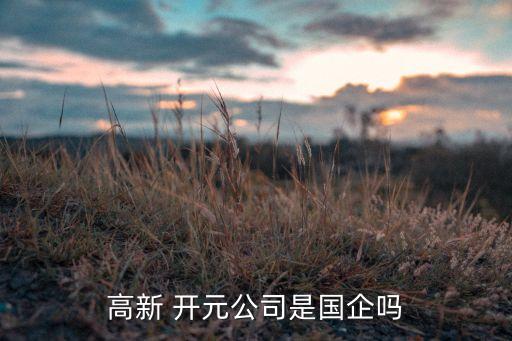北京高立開(kāi)元?jiǎng)?chuàng)新科技有限公司
