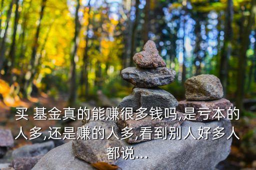 買(mǎi) 基金真的能賺很多錢(qián)嗎,是虧本的人多,還是賺的人多,看到別人好多人都說(shuō)...
