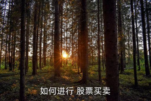 如何進(jìn)行 股票買(mǎi)賣(mài)