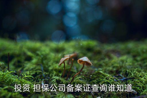 投資 擔(dān)保公司備案證查詢(xún)誰(shuí)知道