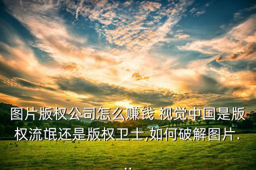 圖片版權(quán)公司怎么賺錢 視覺中國(guó)是版權(quán)流氓還是版權(quán)衛(wèi)士,如何破解圖片...