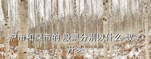 滬市和深市的 股票分別以什么 數字開頭