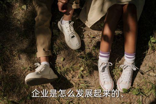 企業(yè)是怎么發(fā)展起來的、