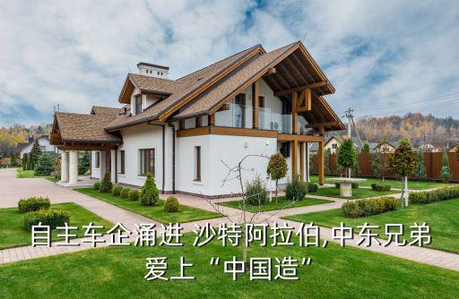 自主車(chē)企涌進(jìn) 沙特阿拉伯,中東兄弟愛(ài)上“中國(guó)造”