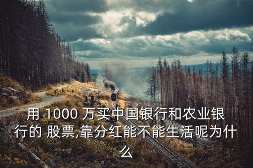 用 1000 萬(wàn)買中國(guó)銀行和農(nóng)業(yè)銀行的 股票,靠分紅能不能生活呢為什么