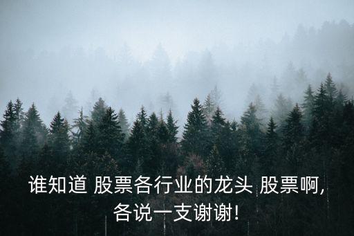 誰(shuí)知道 股票各行業(yè)的龍頭 股票啊,各說(shuō)一支謝謝!