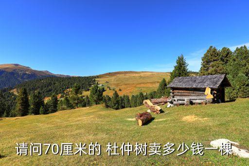 請(qǐng)問(wèn)70厘米的 杜仲樹(shù)賣(mài)多少錢(qián)一棵