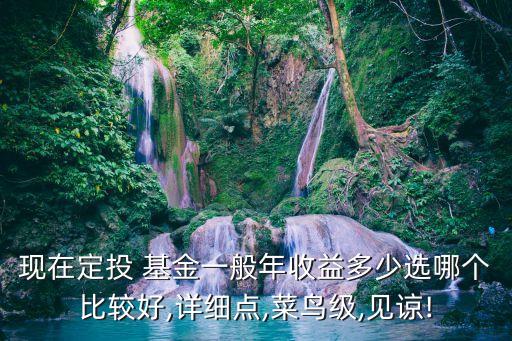 現(xiàn)在定投 基金一般年收益多少選哪個比較好,詳細(xì)點,菜鳥級,見諒!