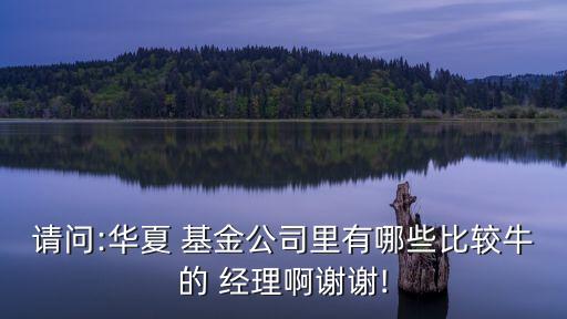 請(qǐng)問(wèn):華夏 基金公司里有哪些比較牛的 經(jīng)理啊謝謝!