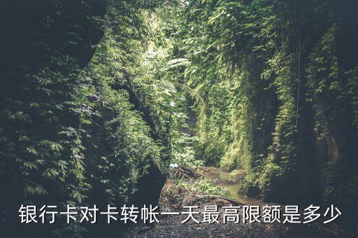  銀行卡對卡轉帳一天最高限額是多少