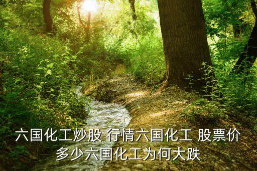 六國(guó)化工炒股 行情六國(guó)化工 股票價(jià)多少六國(guó)化工為何大跌