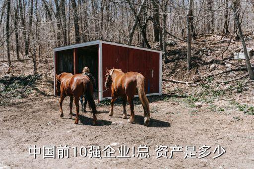 中國前10強企業(yè)!總 資產(chǎn)是多少