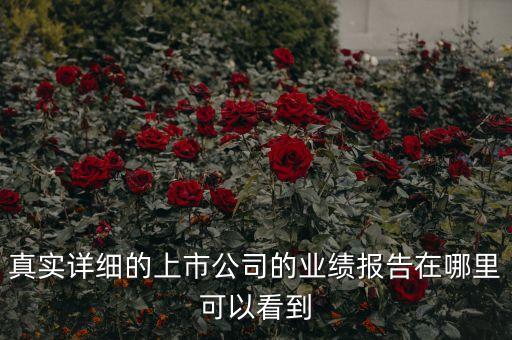 真實(shí)詳細(xì)的上市公司的業(yè)績報告在哪里可以看到
