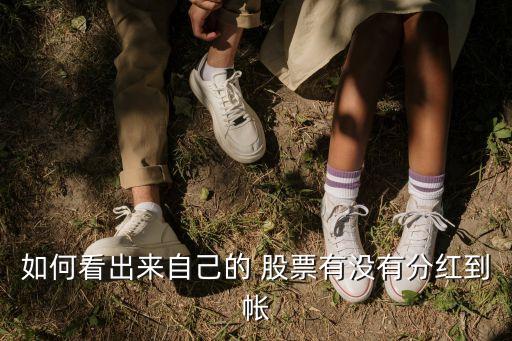 如何看出來(lái)自己的 股票有沒有分紅到帳