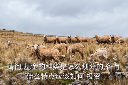 請(qǐng)問(wèn) 基金的種類(lèi)是怎么劃分的,各有什么特點(diǎn)應(yīng)該如何 投資