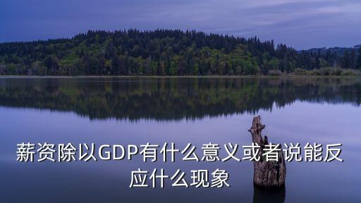 薪資除以GDP有什么意義或者說能反應什么現象