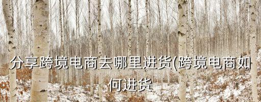 分享跨境電商去哪里進貨(跨境電商如何進貨