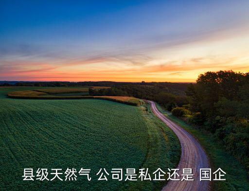 縣級天然氣 公司是私企還是 國企