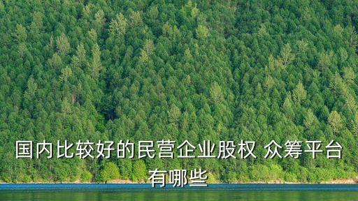 國內比較好的民營企業(yè)股權 眾籌平臺有哪些