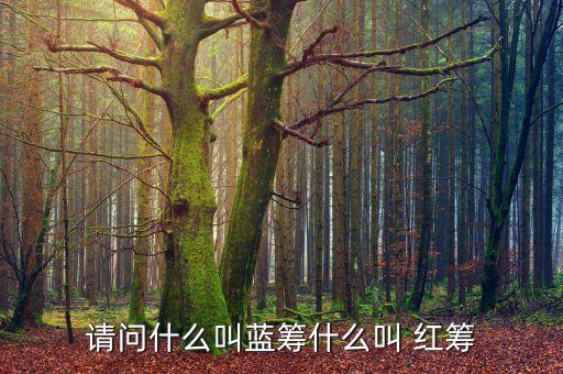 請(qǐng)問(wèn)什么叫藍(lán)籌什么叫 紅籌