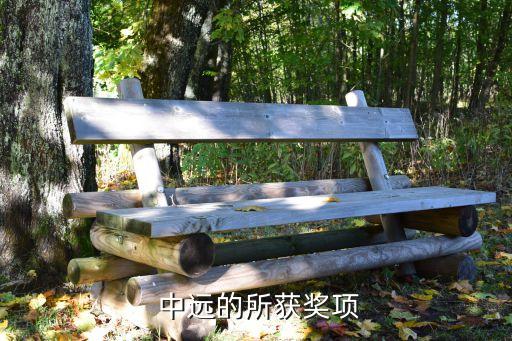  中遠的所獲獎項