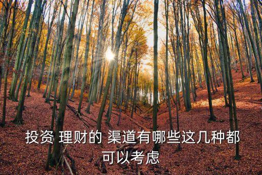  投資 理財的 渠道有哪些這幾種都可以考慮