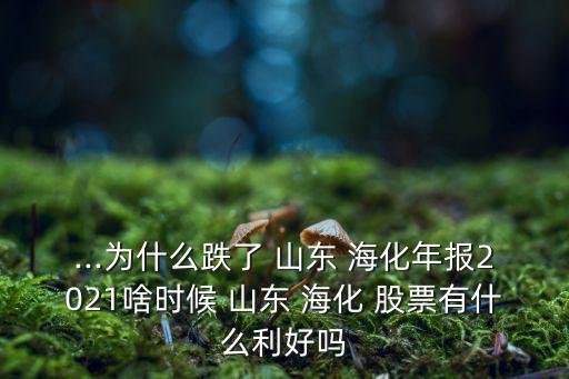 ...為什么跌了 山東 ?；陥?021啥時候 山東 ?；?股票有什么利好嗎
